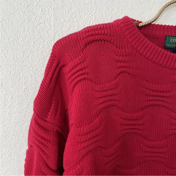 Vtg 90s Textured 3D Sweater Red Colours by Alexander Julian Biggie Smalls Cosby - Picture 3 of 12